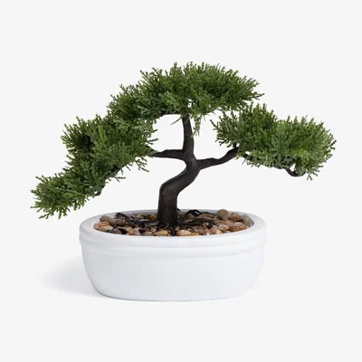 Habitat Habitat Faux Bonsai Plant in Pot - White
