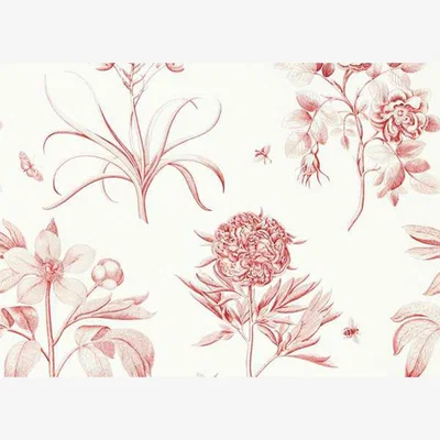 Heal's Sanderson Etchings & Roses Amanpuri Red Wallpaper