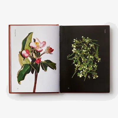 Heal's Phaidon Edible Flowers: How, Why, and When We Eat Flowers
