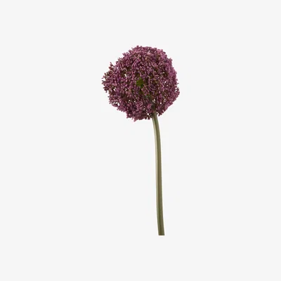 John Lewis Truly Allium Artificial Flower Stem, H75cm, Purple