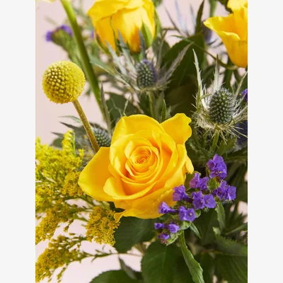 John Lewis John Lewis Sunshine Mixed Hand Tied Bouquet & Chocolates