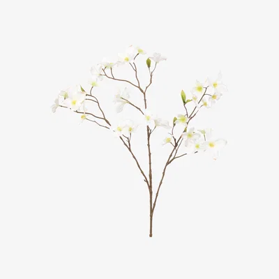 John Lewis Floralsilk Artificial Dogwood Spray, White