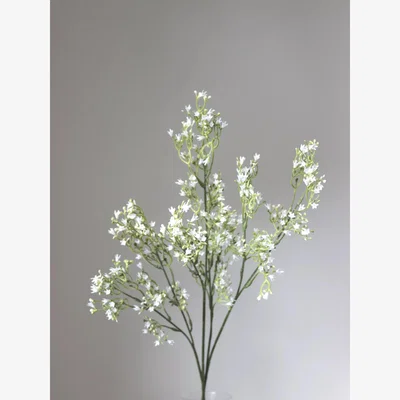 John Lewis Truly White Wild Flower Spray