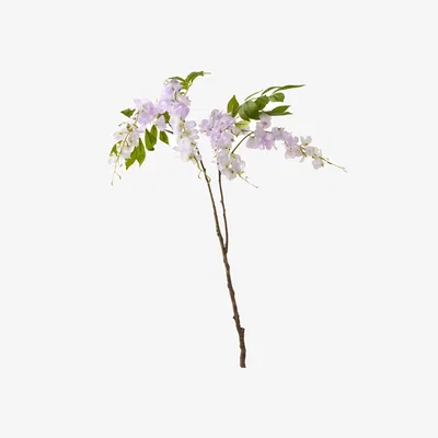 John Lewis Truly Wisteria Artificial Flower Stem, H82cm, Lilac