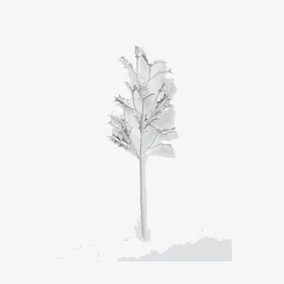 John Lewis John Lewis Holly Stem, Silver