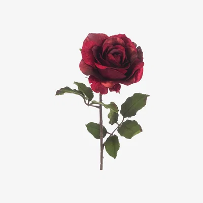 John Lewis Floralsilk Artificial Luxe Rose Stem, 60cm