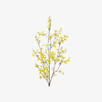 John Lewis Floralsilk Artificial Large Forsythia Large, Yellow