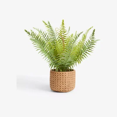 John Lewis John Lewis Artificial Fern in Ceramic Pot