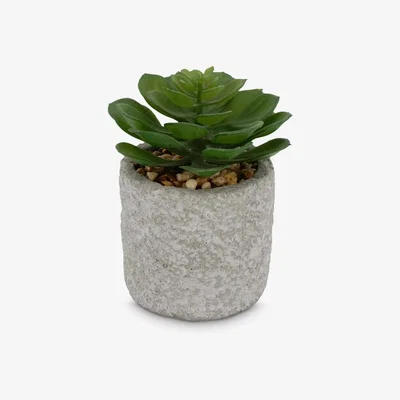 John Lewis John Lewis & Partners Artificial Mini Succulent in Cement Pot