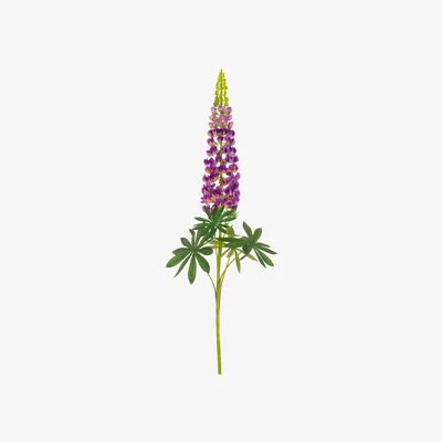 John Lewis Floralsilk Artificial Lupin Spray, 108cm, Purple