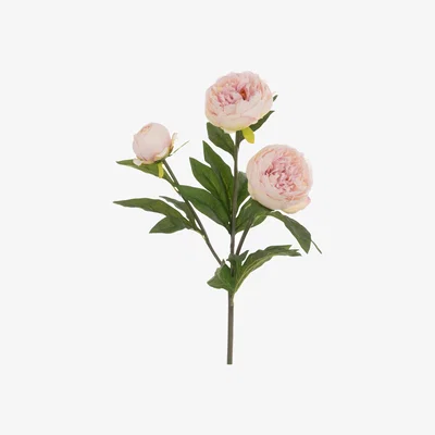 John Lewis Floralsilk Artificial Triple Peony Flower Spray, 76cm, Light Pink