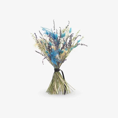 John Lewis Ixia Flowers Mix Premium Dried Flowers