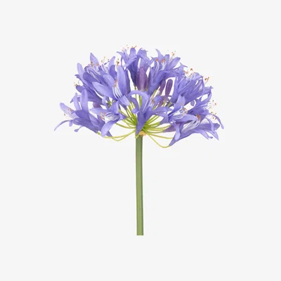 John Lewis Floralsilk Artificial Large Agapanthus, Purple