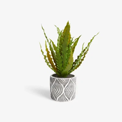 John Lewis John Lewis & Partners Artificial Broad Grass in Patterned Pot
