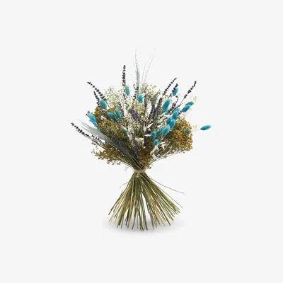 John Lewis Ixia Flowers Seaside Premium Dried Flowers