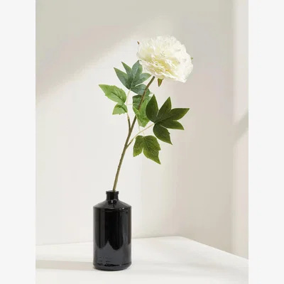 John Lewis Truly White Peony Single Stem