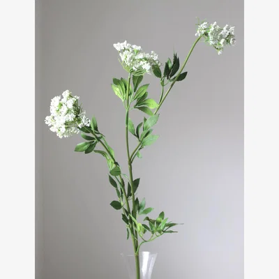 John Lewis Truly Cow Parsley Ammi Single Stem