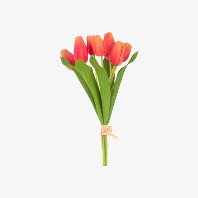 John Lewis Floralsilk Artificial Fresh Tulip Bunch, Pink