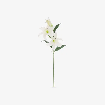 John Lewis Floralsilk Artificial Casablanca Lily, White