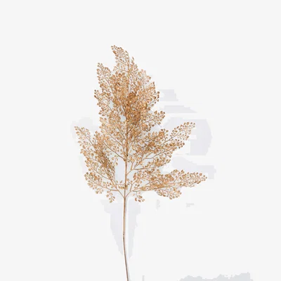 John Lewis Everlands Tiny Leaves Stem, Gold