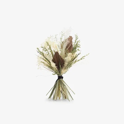 John Lewis Ixia Flowers Neutral Premium Dried Flowers