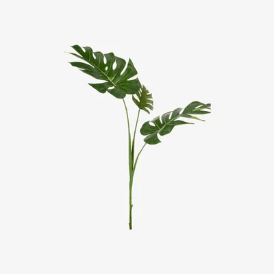 John Lewis Floralsilk Artificial Split Philo Leaf Spray