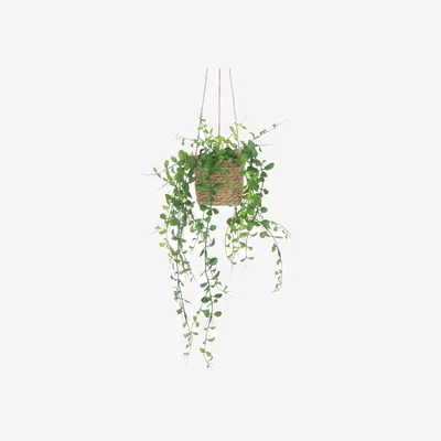 John Lewis Floralsilk Artificial Hanging Plant in Rattan Pot, Green
