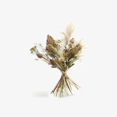 John Lewis Ixia Flowers Luxury Whites Dried Flowers