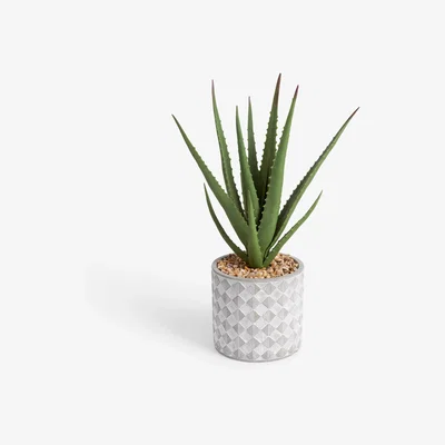 John Lewis John Lewis Artificial Large Aloe Plant & Concrete Pot