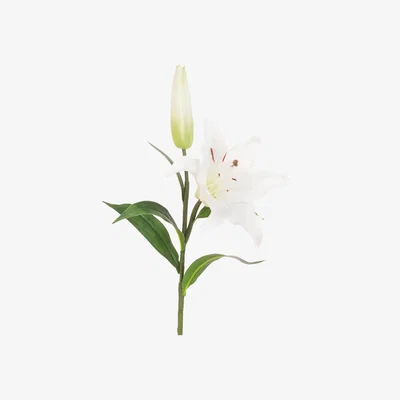 John Lewis Floralsilk Artificial Fresh Touch Lily, White