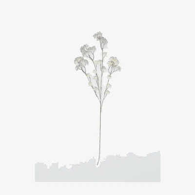 John Lewis Everlands Feathery Flower Stem, Silver