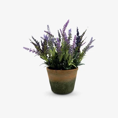 John Lewis John Lewis & Partners Artificial Lavender in Cement Planter