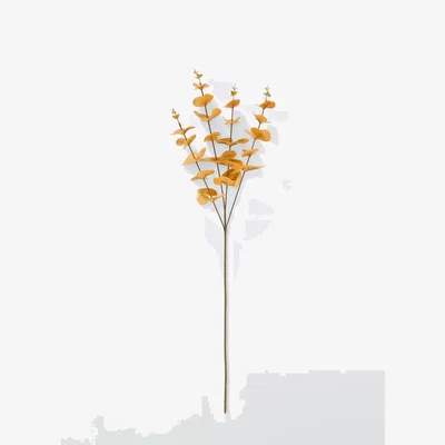 John Lewis Everlands Multi Pod Stem, Gold