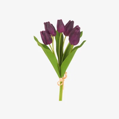John Lewis Floralsilk Artificial Fresh Tulip Bunch, Purple