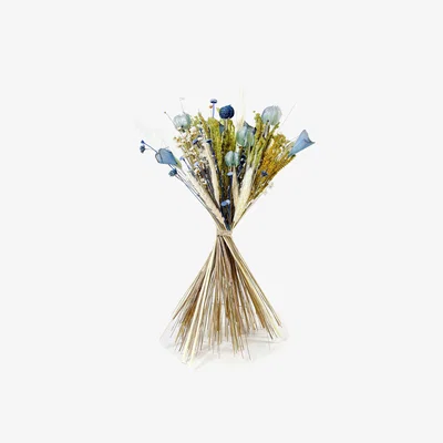 John Lewis Ixia Flowers Meadow Blue Dried Flowers