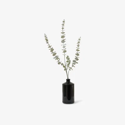 John Lewis Truly Artificial Eucalyptus Stem, Blue