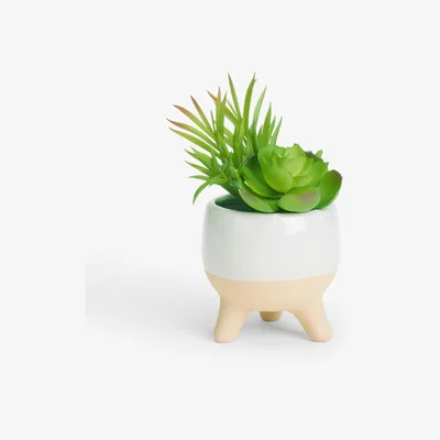John Lewis John Lewis Artificial Succulent in Ceramic Pot
