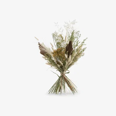 John Lewis Ixia Flowers Earth Premium Dried Flowers