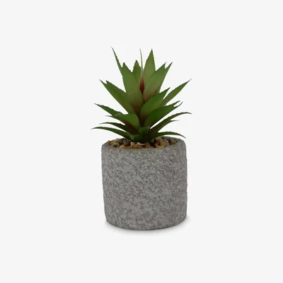 John Lewis John Lewis & Partners Artificial Mini Aloe Vera in Cement Pot