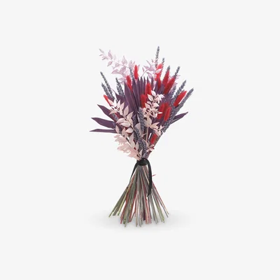John Lewis Ixia Flowers Brights Dried Flowers