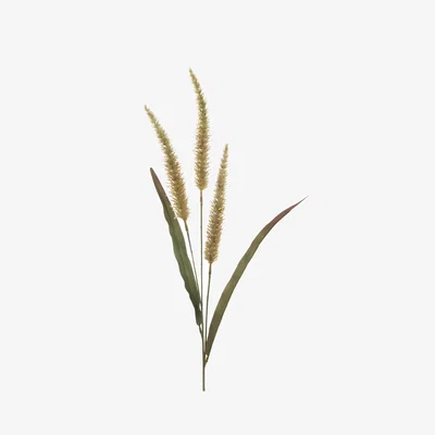 John Lewis Floralsilk Artificial Antique Fountain Grass, 94cm
