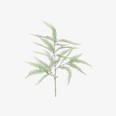 John Lewis Floralsilk Artificial Fern Leaf, Grey/Green