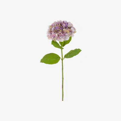 John Lewis Floralsilk Artificial French Hydrangea, Pink