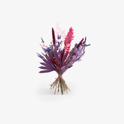 John Lewis Ixia Flowers Luxury Brights Dried Flowers
