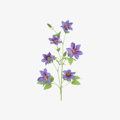 John Lewis Floralsilk Artificial Clematis Spray