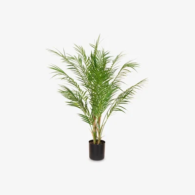 John Lewis Floralsilk Artificial Areca Palm