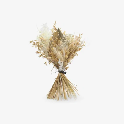 John Lewis Ixia Flowers Whites Premium Dried Flowers