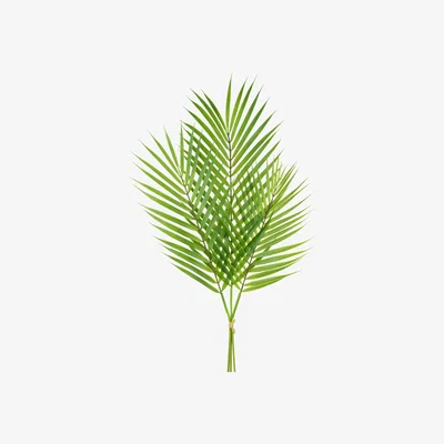 John Lewis Floralsilk Artificial Areca Palm Bundle