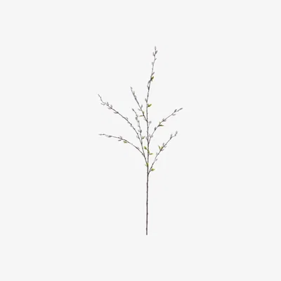 John Lewis Floralsilk Artificial Pussy Willow Spray