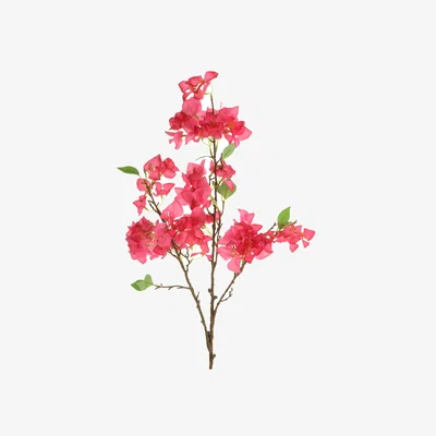 John Lewis Floralsilk Artificial Bougainvillea Spray, 106cm, Pink